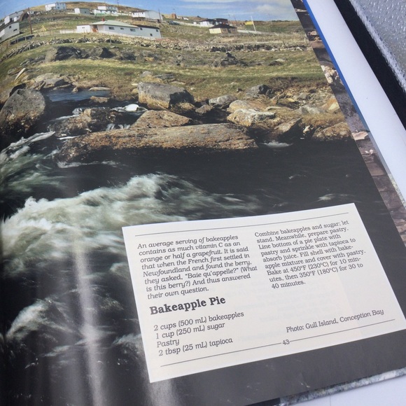 Newfoundland Pictorial Cookbook East Coast Recipes and Photos Hardcover 1990 - Picture 8 of 14